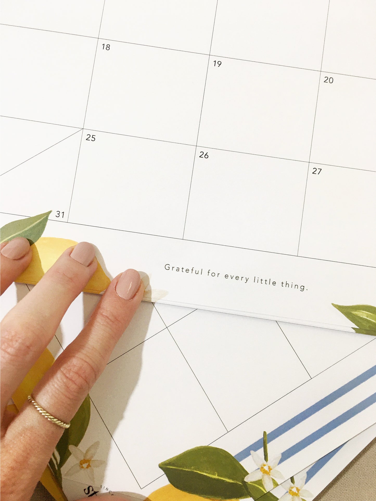 A3 Desk / Fridge Calendar - Lemon (Optional Magnets)